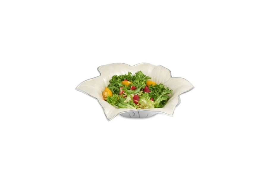 Julia Knight 15-Inch Snow Themed Decorative Bowl with Lily Design